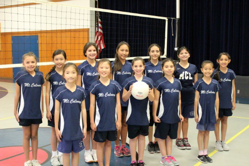 MCL JV Volleyball Team
